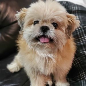 Meet your Posher, Pam